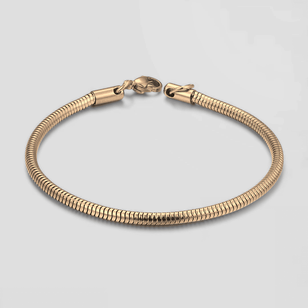 Snake Bracelet [Golden]